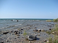 Western Michigan [2010] 782